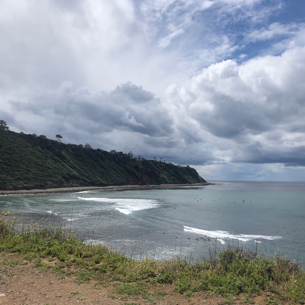 Meet your Posher, Cara & melia’s